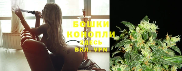 амф Вяземский