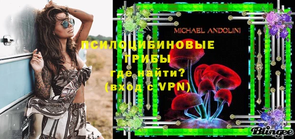 амф Вяземский