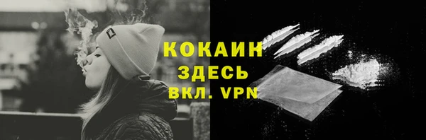 амф Вяземский