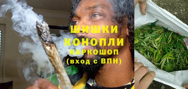 спайс Гусь-Хрустальный