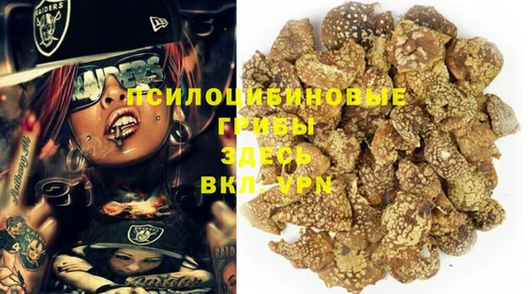 spice Вязьма