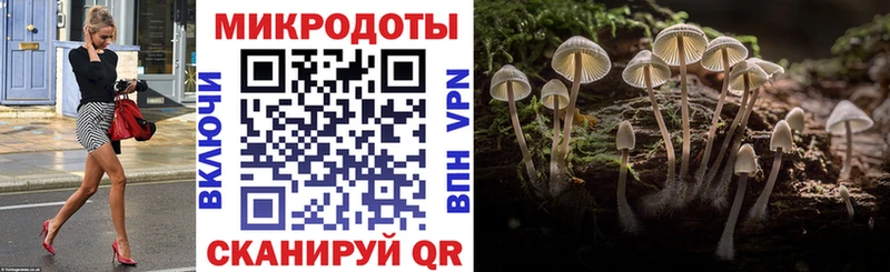 Галлюциногенные грибы мухоморы  Гусев 
